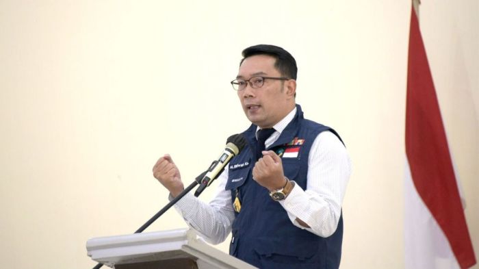 Partai Politik Yang Mendukung Calon Pilkada Jawa Barat 2024