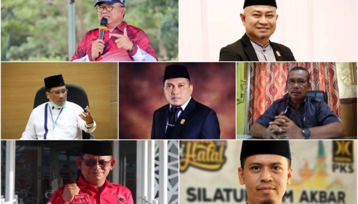 Potensi Calon Bupati Karawang 2024 Yang Menarik