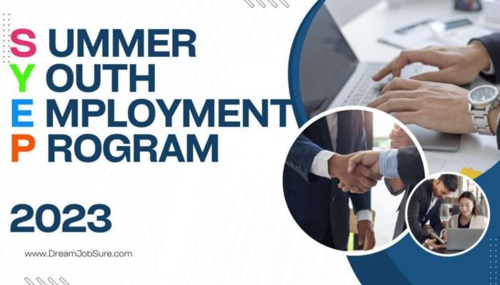 Employment youth summer program now dfa ny state email