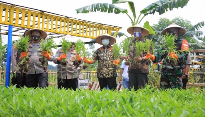 Mekanisme Pengawasan Netralitas Tni Dan Polri Di Pilkada Pangandaran